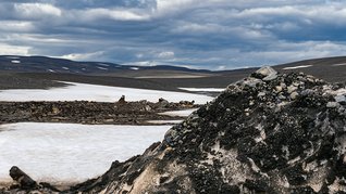 DSC_4132